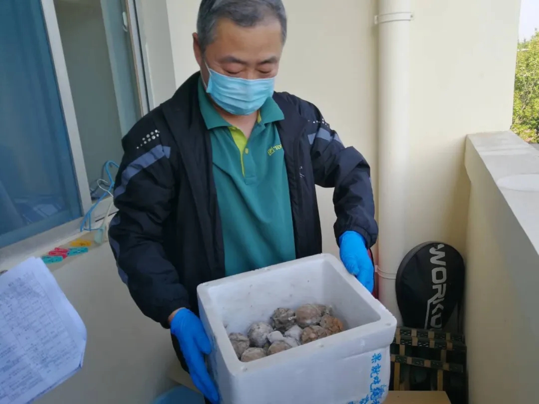足球比分预测