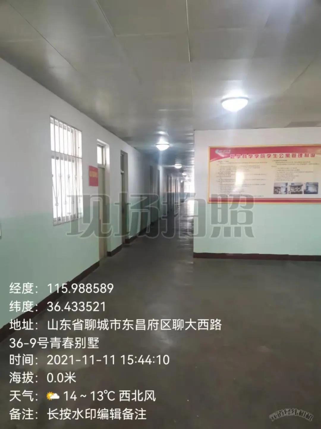 足球比分预测