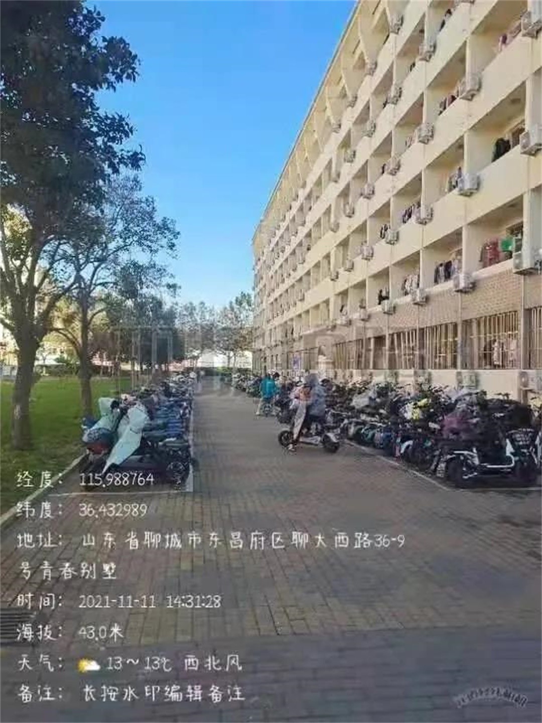 足球比分预测