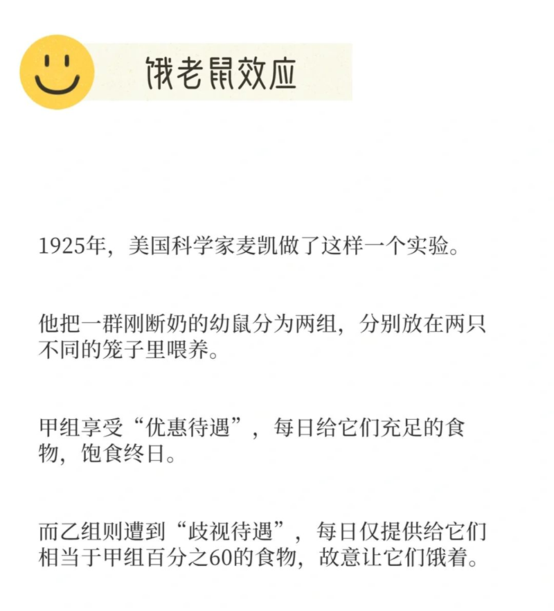 足球比分预测