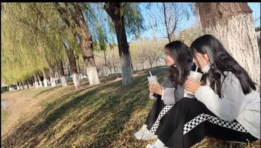 足球比分预测