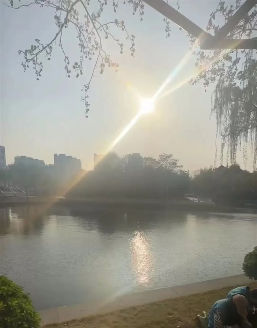 足球比分预测